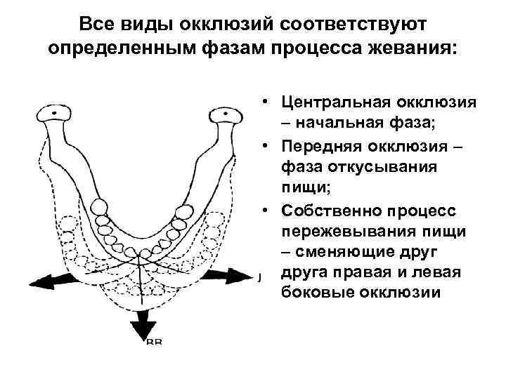 Признаки окклюзии. Признаки передней окклюзии. Фазы жевания. Фазы процесса жевания. Центральная окклюзия определяется признаками.