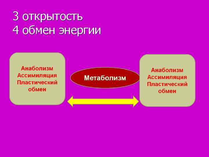 3 открытость 4 обмен энергии 