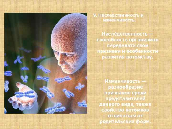 9. Наследственность и изменчивость. Насле дственность — способность организмов передавать свои признаки и особенности