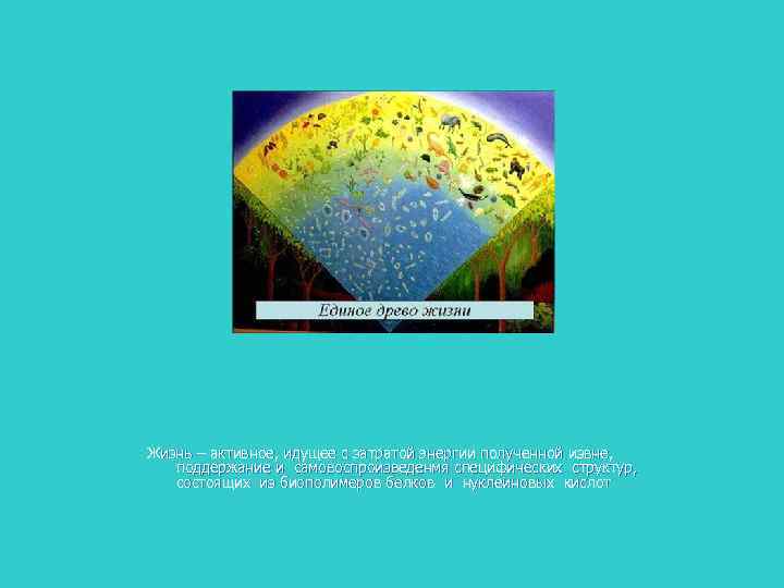 Жизнь – активное, идущее с затратой энергии полученной извне, поддержание и самовоспроизведенмя специфических структур,