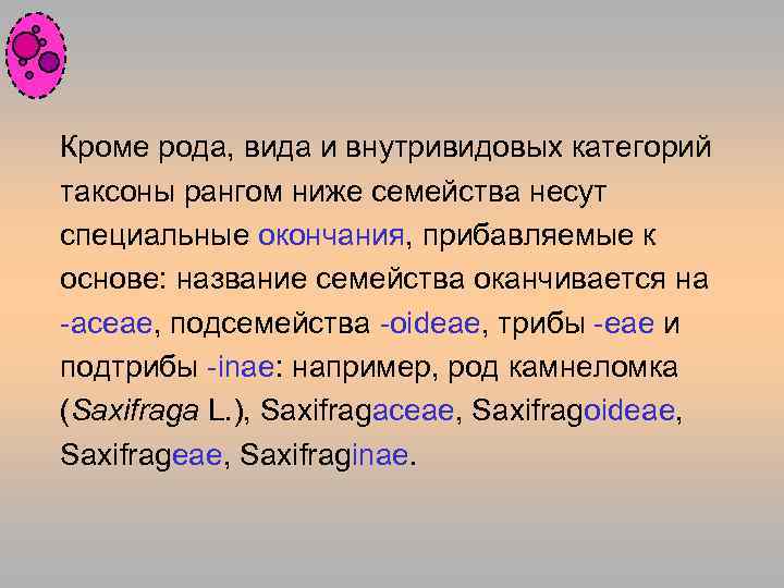 Кроме рода, вида и внутривидовых категорий таксоны рангом ниже семейства несут специальные окончания, прибавляемые