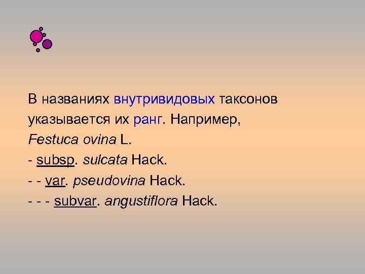 В названиях внутривидовых таксонов указывается их ранг. Например, Festuca ovina L. - subsp. sulcata