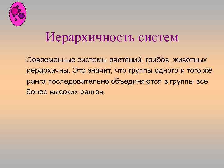 Иерархичность систем Современные системы растений, грибов, животных иерархичны. Это значит, что группы одного и