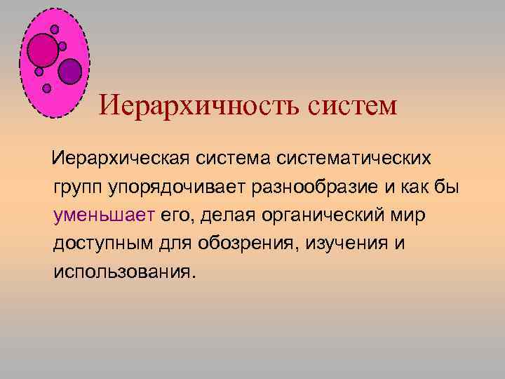 Иерархичность систем Иерархическая систематических групп упорядочивает разнообразие и как бы уменьшает его, делая органический