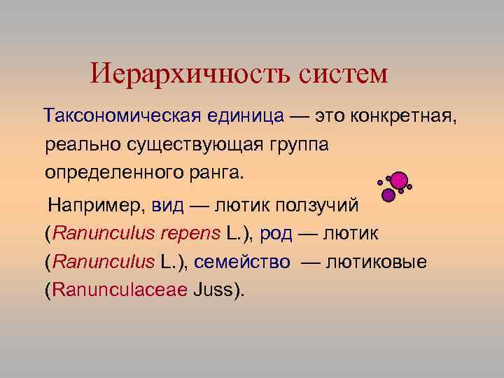 Иерархичность систем Таксономическая единица — это конкретная, реально существующая группа определенного ранга. Например, вид
