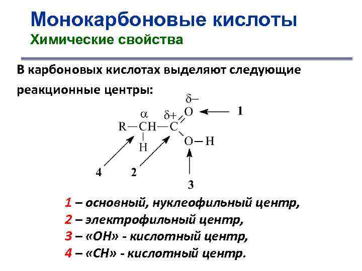 Монокарбоновые кислоты Химические свойства В карбоновых кислотах выделяют следующие реакционные центры: 1 – основный,