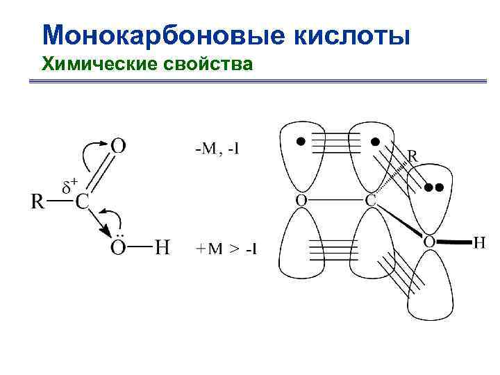 Монокарбоновые кислоты Химические свойства 