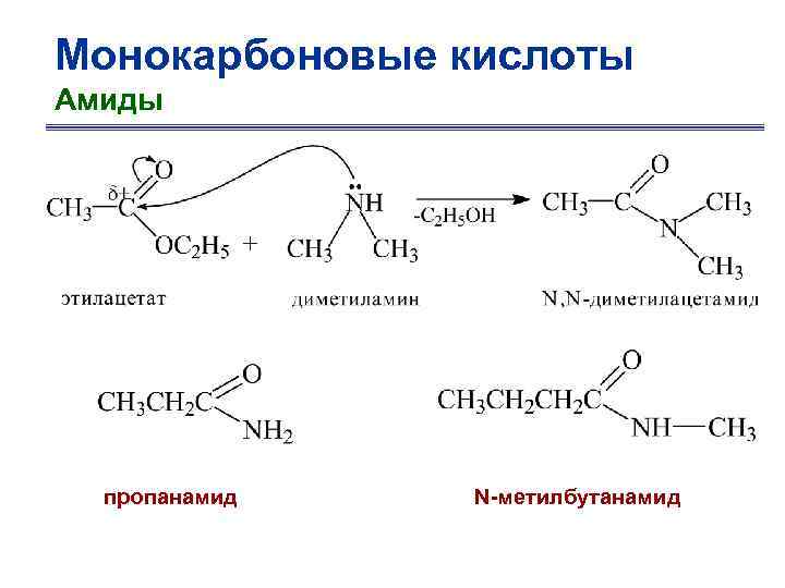 Монокарбоновые кислоты Амиды пропанамид N-метилбутанамид 