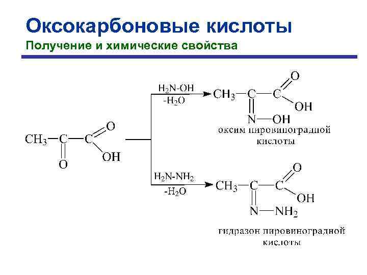 Оксокарбоновые кислоты Получение и химические свойства 
