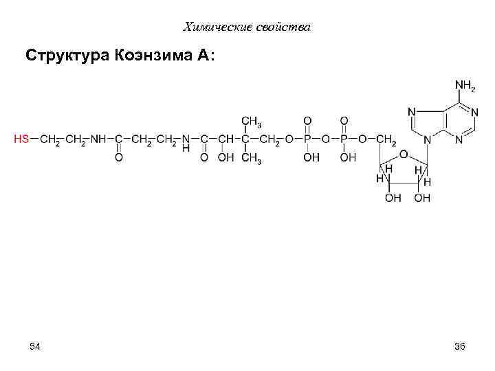 Химические свойства Структура Коэнзима А: 54 36 