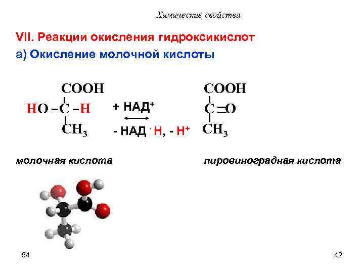 Химические свойства VII. Реакции окисления гидроксикислот a) Окисление молочной кислоты COOH + НАД+ HO