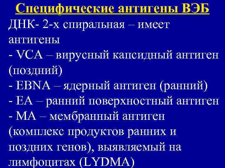 Специфические антигены ВЭБ ДНК- 2 -х спиральная – имеет антигены - VCA – вирусный
