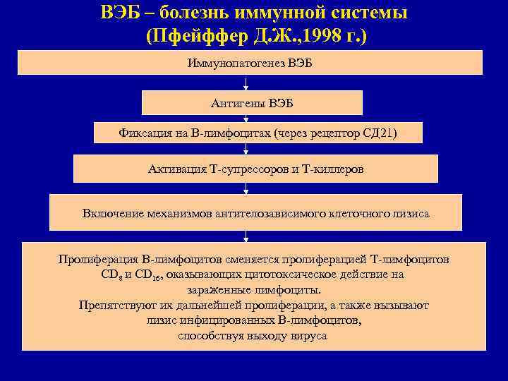 ВЭБ – болезнь иммунной системы (Пфейффер Д. Ж. , 1998 г. ) Иммунопатогенез ВЭБ
