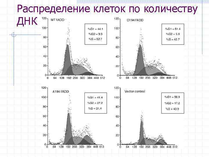 Распределение клеток по количеству ДНК 