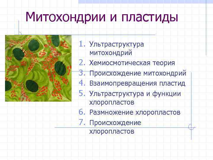 Митохондрии и пластиды 1. Ультраструктура 2. 3. 4. 5. 6. 7. митохондрий Хемиосмотическая теория
