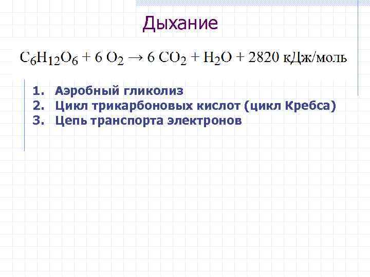 Дыхание 1. Аэробный гликолиз 2. Цикл трикарбоновых кислот (цикл Кребса) 3. Цепь транспорта электронов