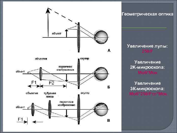 Геометрическая оптика Увеличение лупы: 250/F Увеличение 2 K-микроскопа: Моб*Мoк Увеличение 3 К-микроскопа: Мoб*250/Fтл*Moк 