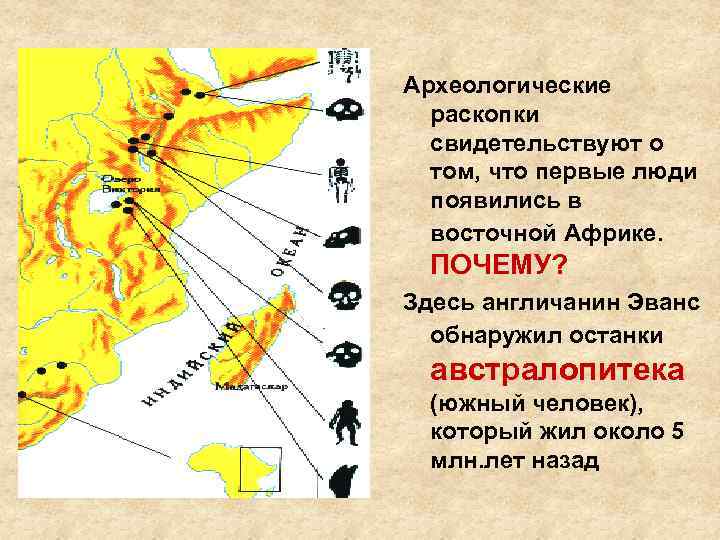 Археологические раскопки свидетельствуют о том, что первые люди появились в восточной Африке. ПОЧЕМУ? Здесь