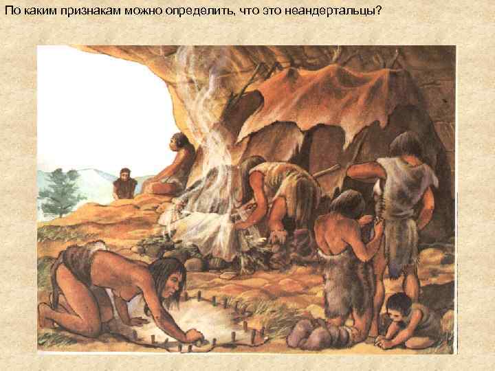 По каким признакам можно определить, что это неандертальцы? 