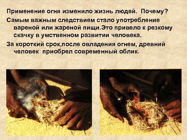 Применение огня изменило жизнь людей. Почему? Самым важным следствием стало употребление вареной или жареной