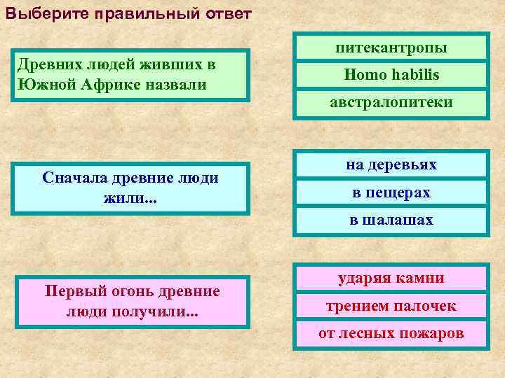 Выберите правильный ответ Древних людей живших в Южной Африке назвали Сначала древние люди жили.