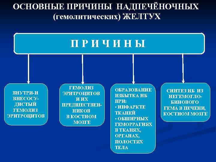 ОСНОВНЫЕ ПРИЧИНЫ НАДПЕЧЁНОЧНЫХ (гемолитических) ЖЕЛТУХ ПРИЧИНЫ ВНУТРИ-И ВНЕСОСУДИСТЫЙ ГЕМОЛИЗ ЭРИТРОЦИТОВ И ИХ ПРЕДШЕСТВЕННИКОВ В