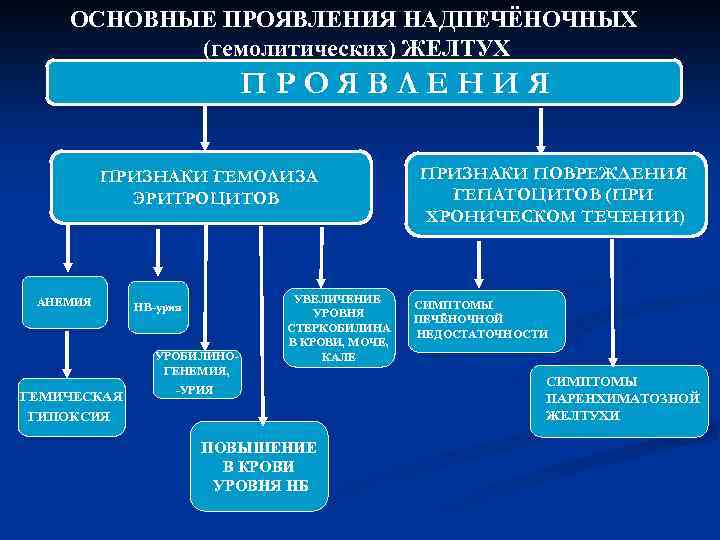 ОСНОВНЫЕ ПРОЯВЛЕНИЯ НАДПЕЧЁНОЧНЫХ (гемолитических) ЖЕЛТУХ ПРОЯВЛЕНИЯ ПРИЗНАКИ ГЕМОЛИЗА ЭРИТРОЦИТОВ АНЕМИЯ НB-урия УРОБИЛИНОГЕНЕМИЯ, ГЕМИЧЕСКАЯ ГИПОКСИЯ