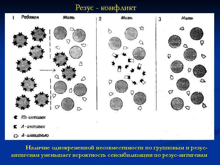 Резус - конфликт Наличие одновременной несовместимости по групповым и резусантигенам уменьшает вероятность сенсибилизации по