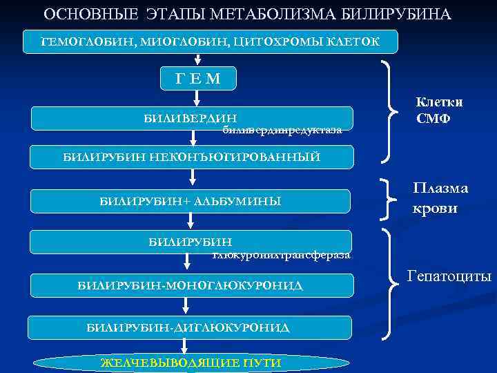 Желтуха у детей фото