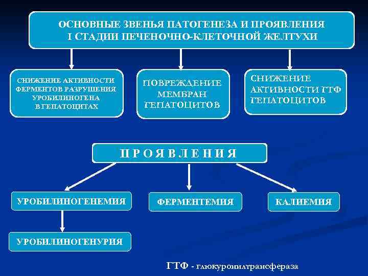 ОСНОВНЫЕ ЗВЕНЬЯ ПАТОГЕНЕЗА И ПРОЯВЛЕНИЯ I СТАДИИ ПЕЧЕНОЧНО-КЛЕТОЧНОЙ ЖЕЛТУХИ СНИЖЕНИЕ АКТИВНОСТИ ФЕРМЕНТОВ РАЗРУШЕНИЯ УРОБИЛИНОГЕНА