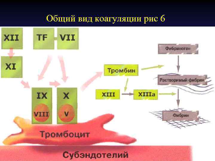 Общий вид коагуляции рис 6 