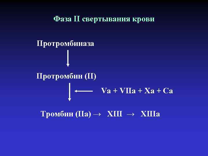 Фаза II свертывания крови Протромбиназа Протромбин (II) Va + VIIa + Xa + Ca