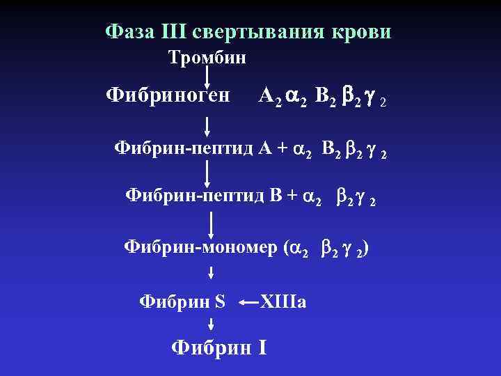 Фаза III свертывания крови Тромбин Фибриноген А 2 2 В 2 2 2 Фибрин-пептид