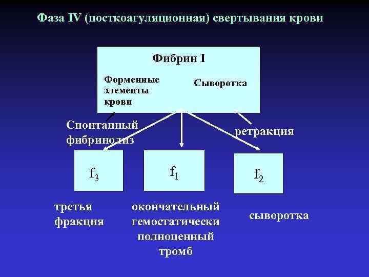 Фаза IV (посткоагуляционная) свертывания крови Фибрин I Форменные элементы крови Сыворотка Спонтанный фибринолиз f