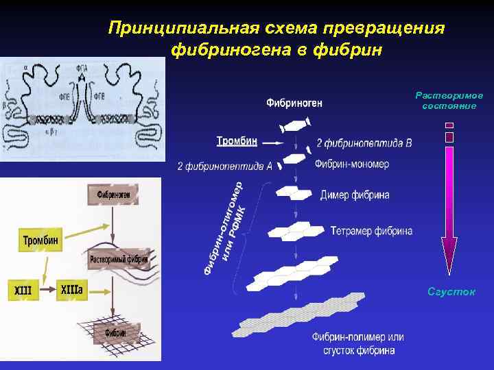 Превращения p. Фибрин схема. Схема превращения фибриногена в фибрин. Превращение фибриногена в фибрин. Процесс ферментативного превращения фибриногена в фибрин.