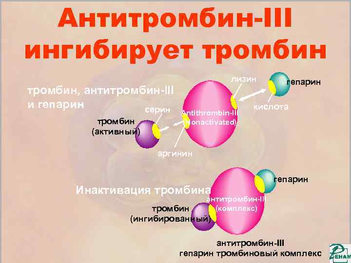 Антитромбин 3 понижен