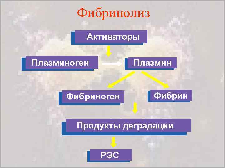 Фибринолиз Активаторы Плазминоген Плазмин Фибриноген Фибрин Продукты деградации РЭС 