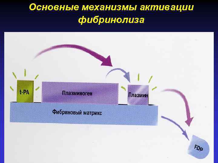Основные механизмы активации фибринолиза 