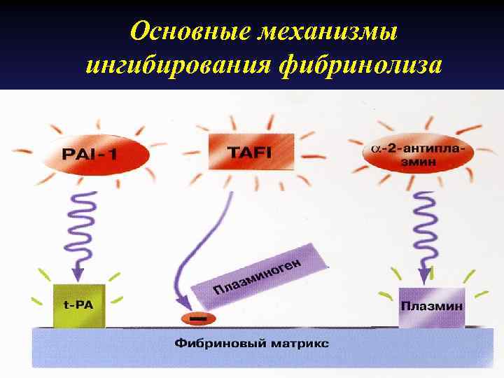 Схема фибринолиза физиология