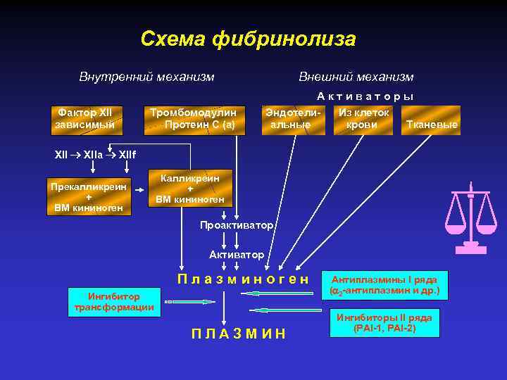 Схема фибринолиза Внутренний механизм Внешний механизм Активаторы Фактор XII зависимый Тромбомодулин Протеин С (а)