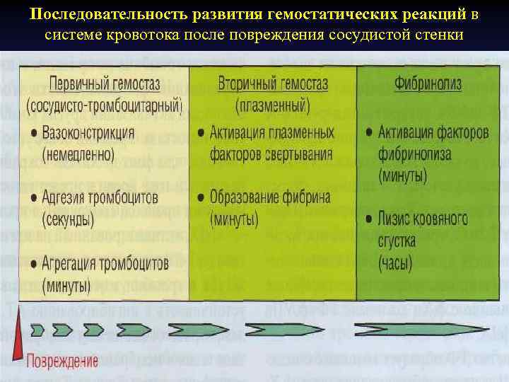 Последовательность развития гемостатических реакций в системе кровотока после повреждения сосудистой стенки 