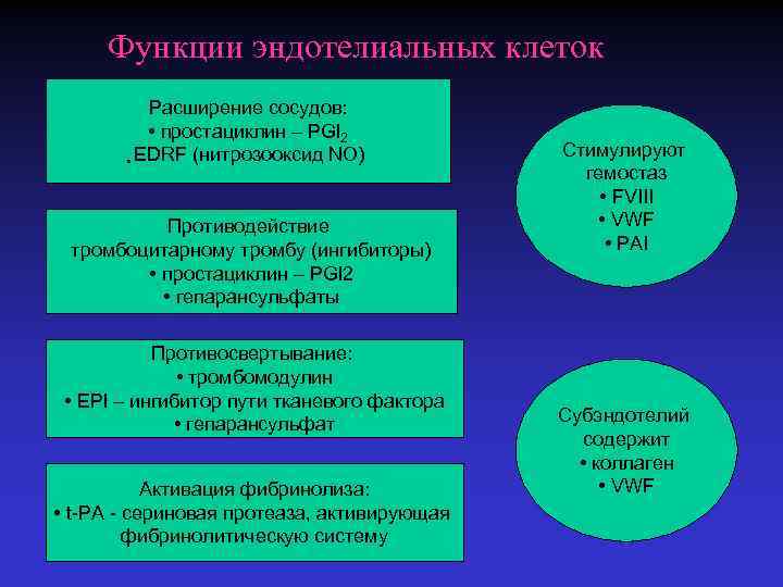 Функции эндотелиальных клеток Расширение сосудов: • простациклин – PGl 2 • EDRF (нитрозооксид NO)