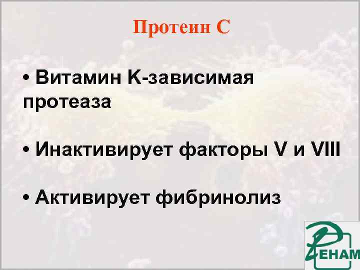 Протеин C • Витамин K-зависимая протеаза • Инактивирует факторы V и VIII • Активирует