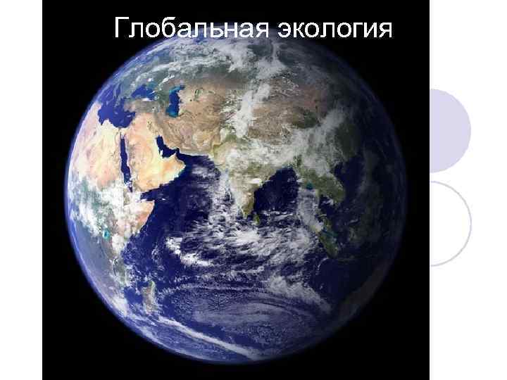 Глобальная экология 