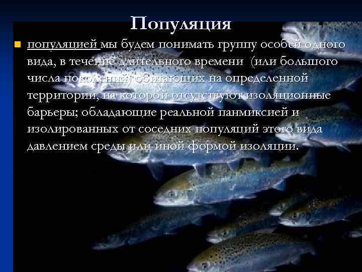 Популяция n популяцией мы будем понимать группу особей одного вида, в течение длительного времени