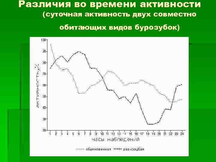 Различия во времени активности (суточная активность двух совместно обитающих видов бурозубок) 