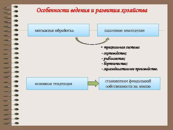 Особенности ведения и развития хозяйства мотыжная обработка пашенное земледелие - трехпольная система - скотоводство;