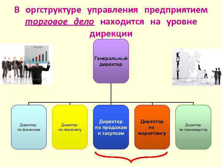 В оргструктуре управления предприятием торговое дело находится на уровне дирекции Генеральный директор Директор по
