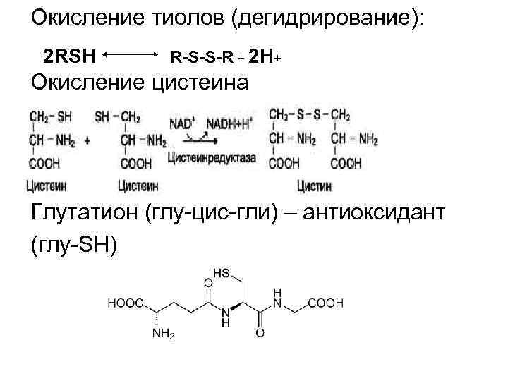 Окисление тиолов (дегидрирование): 2 RSH R-S-S-R + 2 H+ Окисление цистеина Глутатион (глу цис