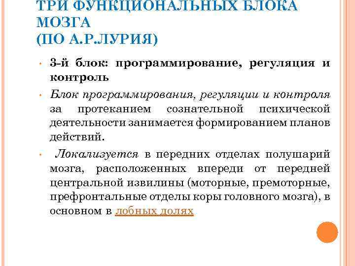 ТРИ ФУНКЦИОНАЛЬНЫХ БЛОКА МОЗГА (ПО А. Р. ЛУРИЯ) • • • 3 -й блок: